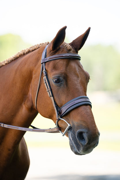 Equestire Signature Padded Leather Hunter Bridle