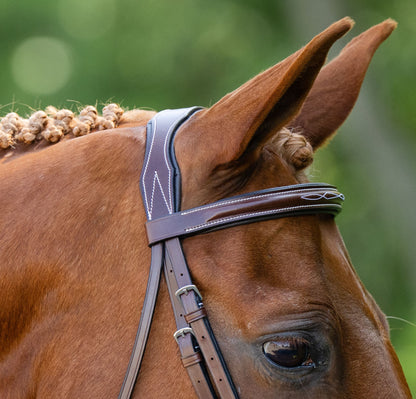 Equestire Signature Padded Leather Hunter Bridle